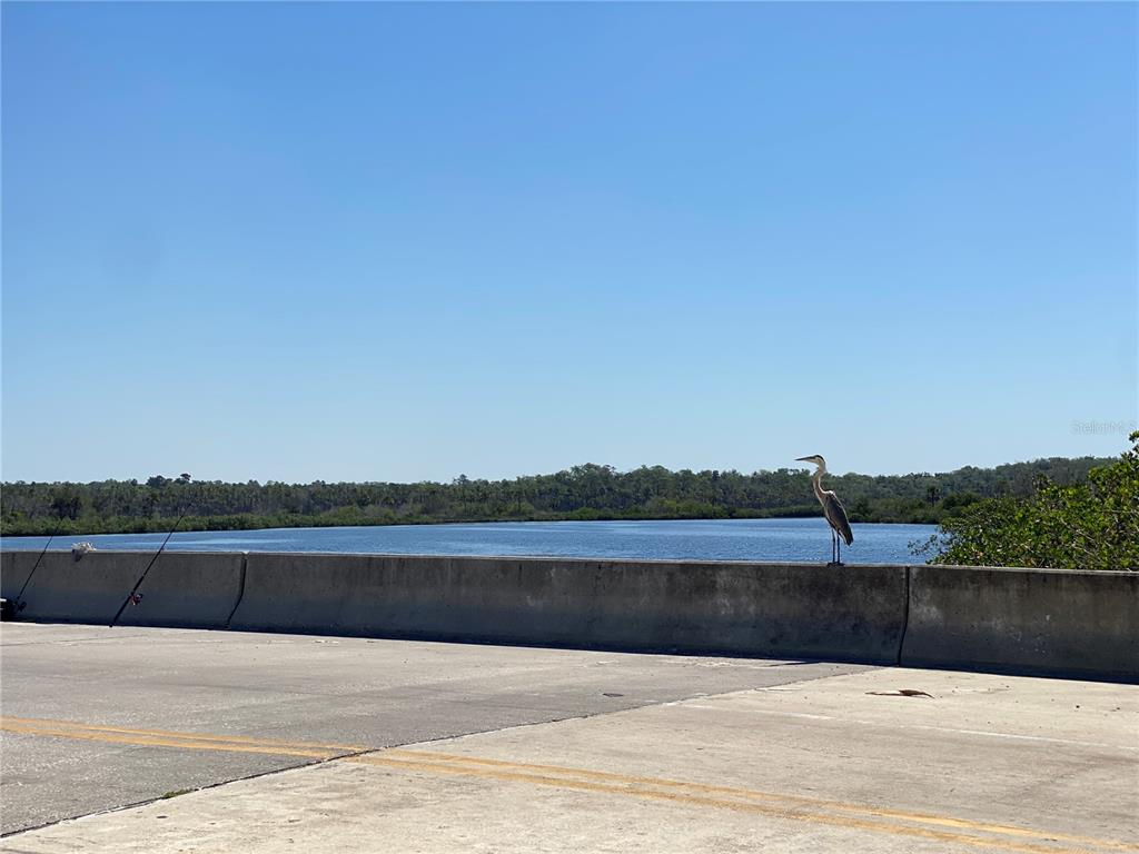 1578 Indian Bay Road Spring Hill, FL 34607 - Photo 45 of 51 a view of lake and houses