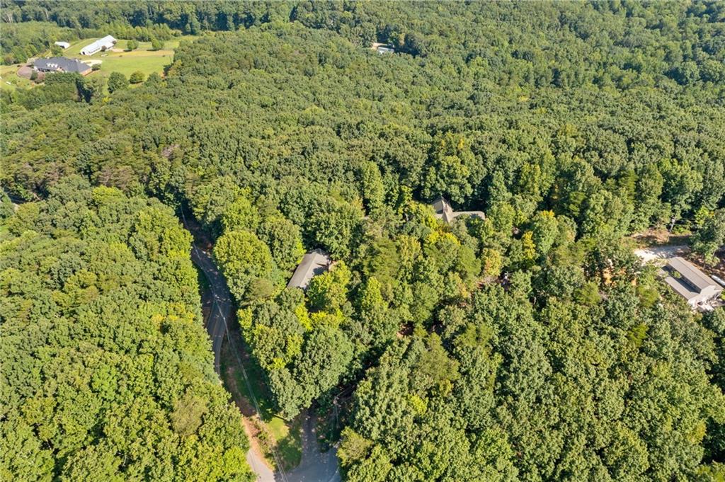 5 Tally Mountain Road North Jasper, GA 30143 - Photo 4 of 58 a view of a bunch of trees and bushes