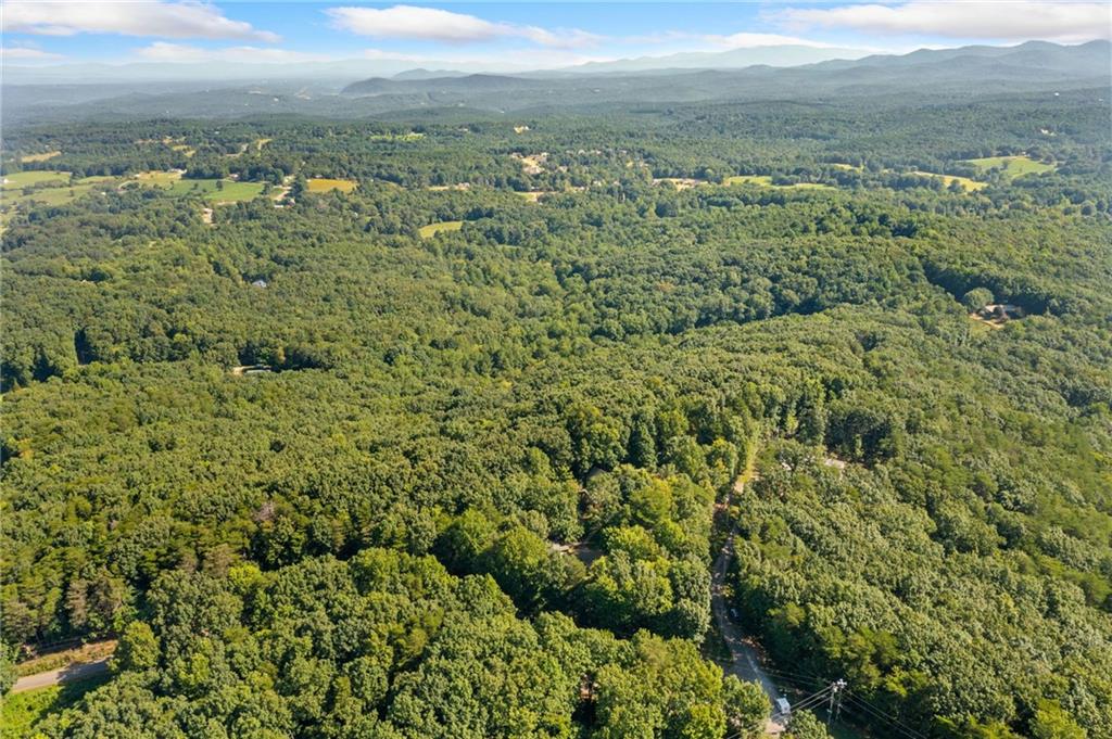 5 Tally Mountain Road North Jasper, GA 30143 - Photo 57 of 58 a view of a city with lush green forest