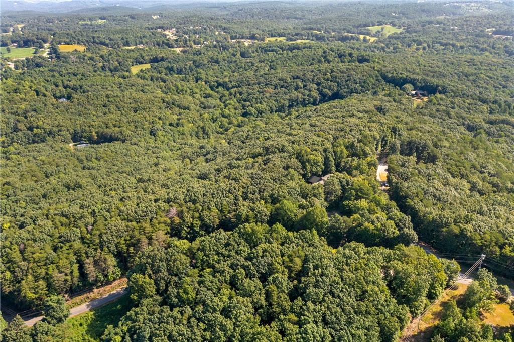 5 Tally Mountain Road North Jasper, GA 30143 - Photo 7 of 58