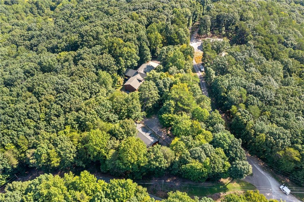 5 Tally Mountain Road North Jasper, GA 30143 - Photo 8 of 58 a view of a garden with plants