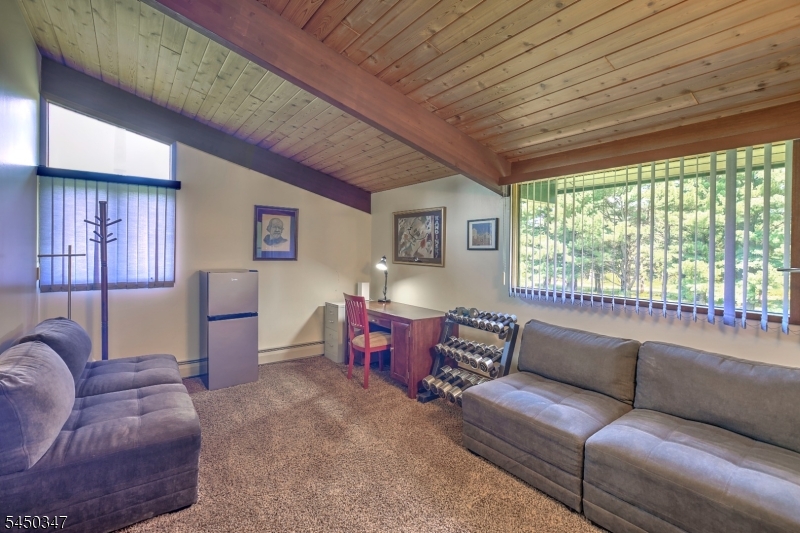 336 Rileyville Road Ringoes, NJ 08551 - Photo 24 of 35 Gallery Image 24