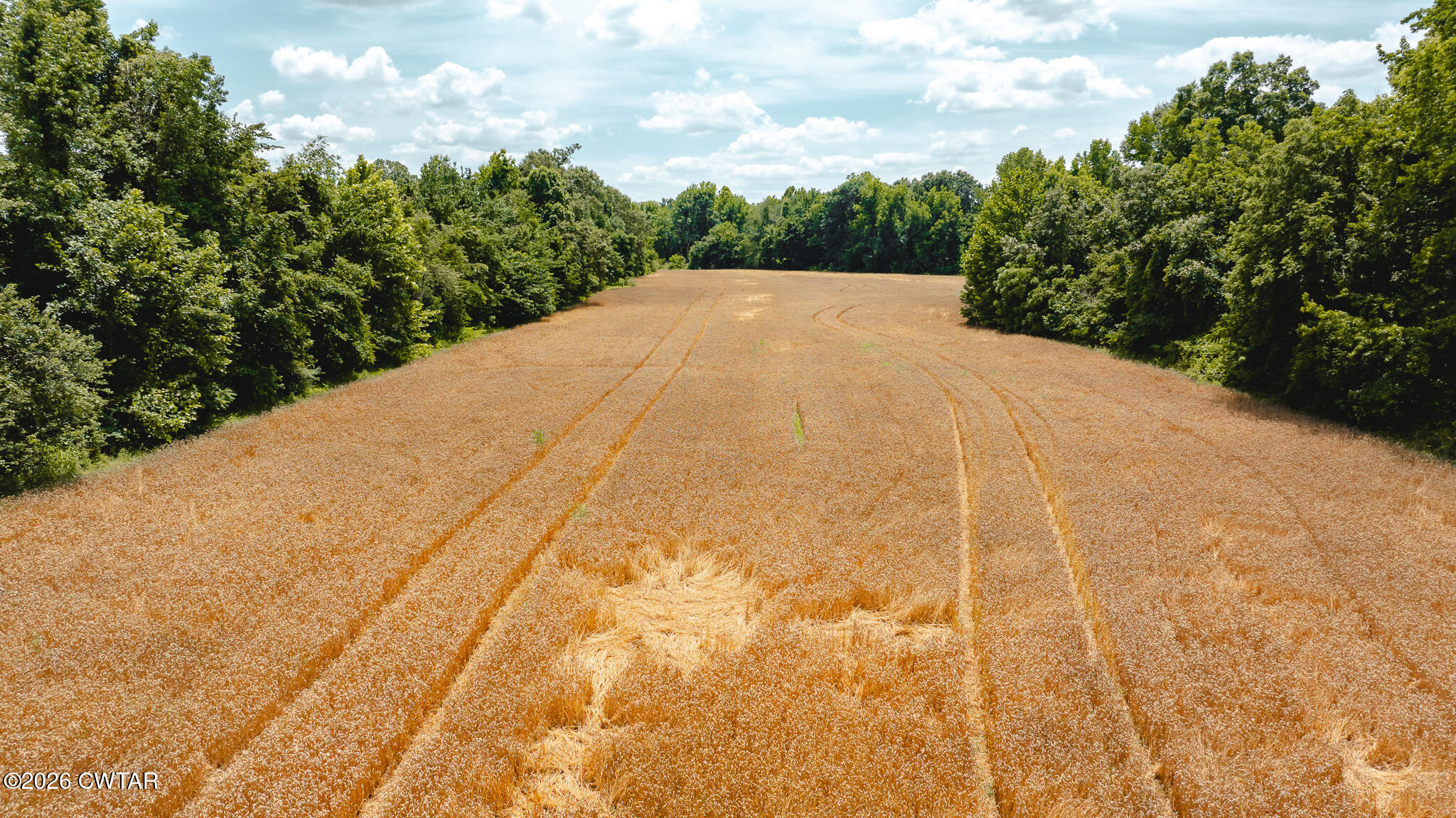 0 Will Young Road Greenfield, TN 38230 - Photo 14 of 17 DJI_20260602204009_0010_D