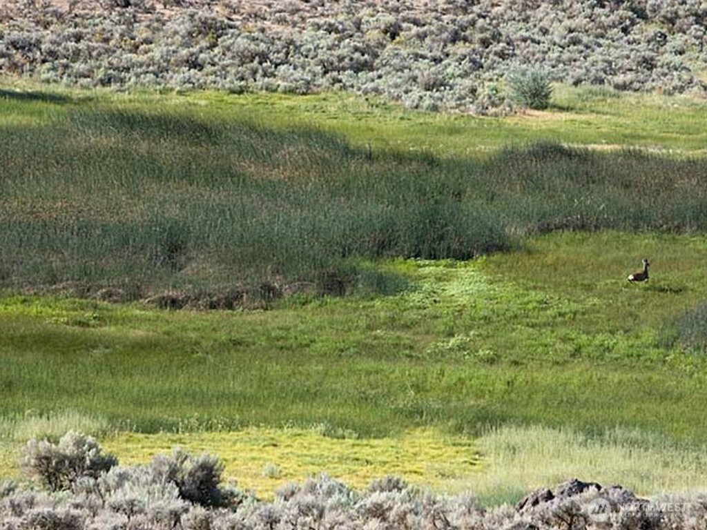 0 Silica Road Southwest Quincy, WA 98848 - Photo 21 of 23