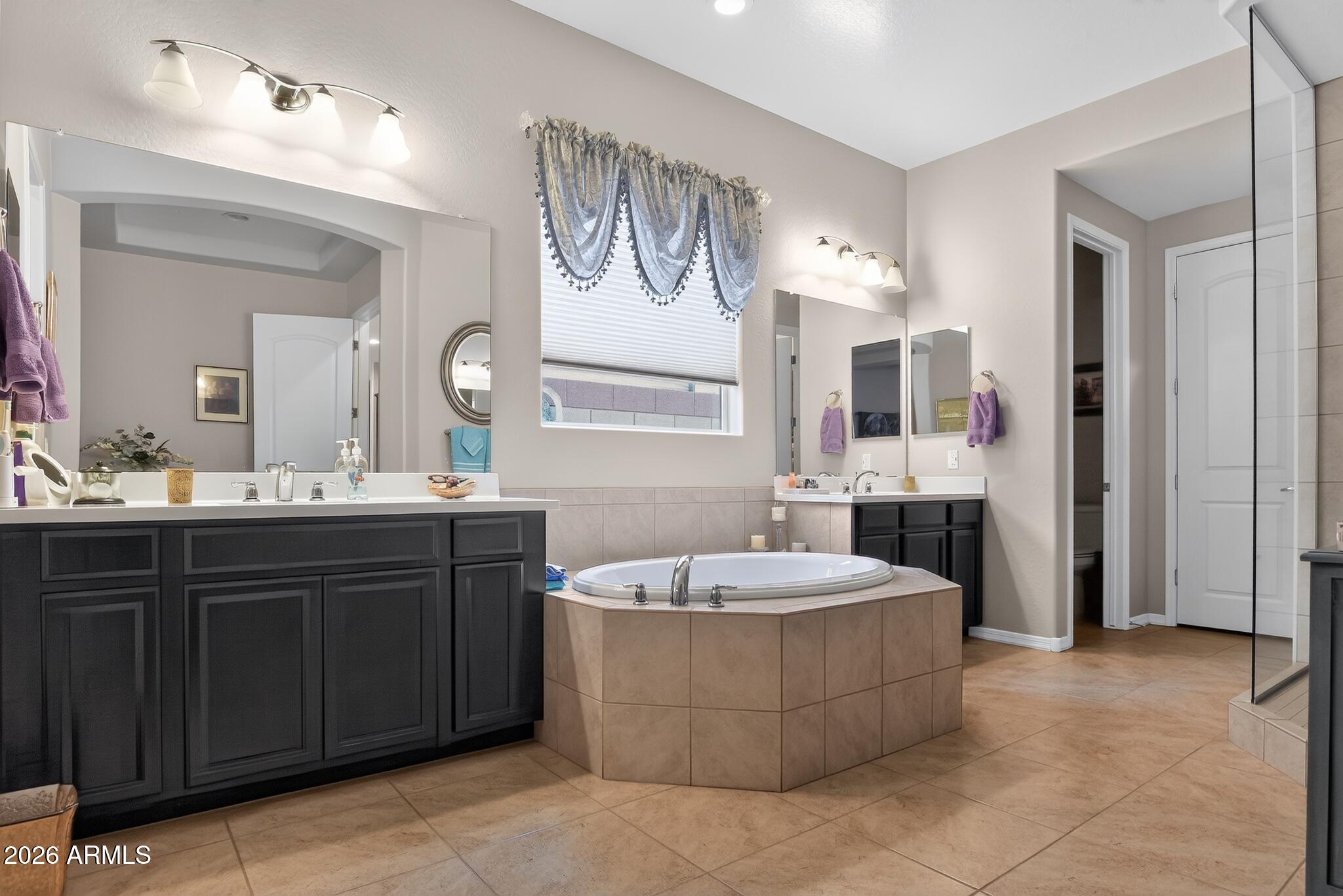 15627 West Berkeley Road Goodyear, AZ 85395 - Photo 5 of 34 Master bath