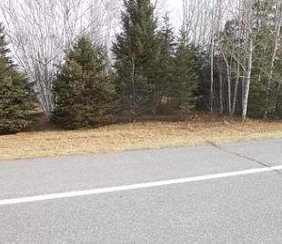 1780 Hamlin Road Van Buren, ME 04785 - Photo 61 of 61 Screen Shot 2020-08-09 at 8.32.30 PM
