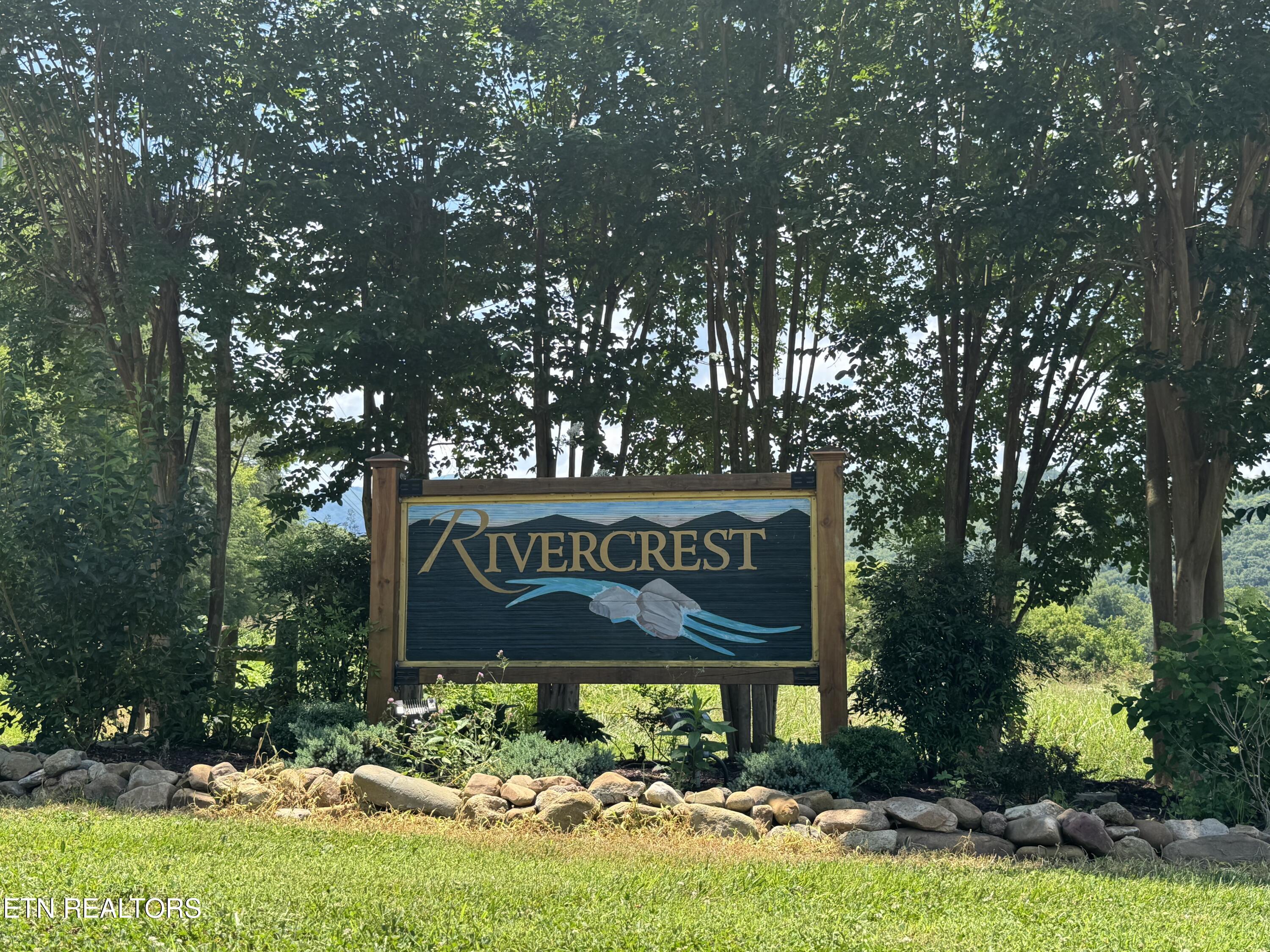 Lot 4 River Rpds Way Del Rio, TN 37727 - Photo 2 of 5 IMG_1579