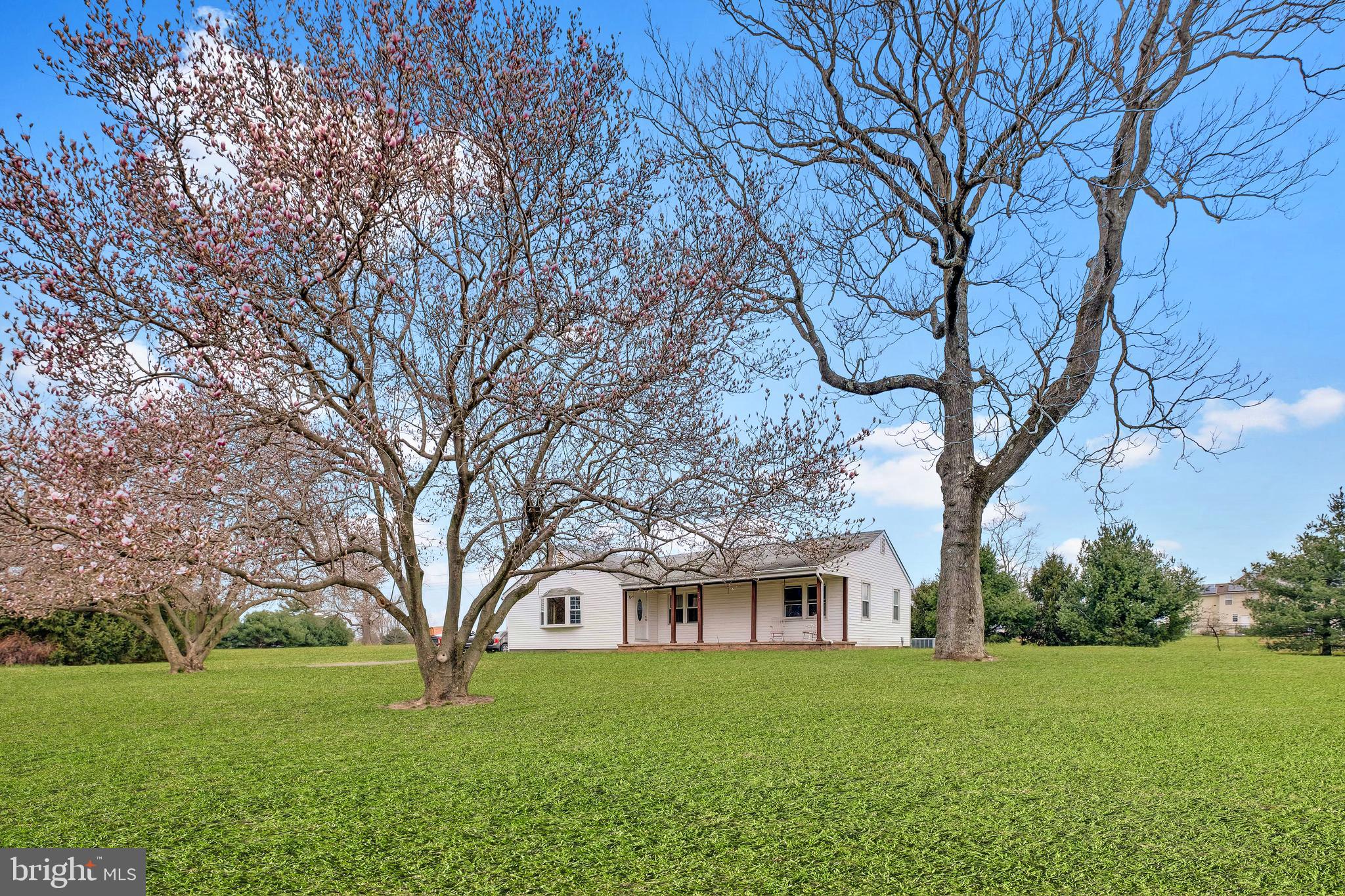 429 White Pine Road Columbus, NJ 08022 - Photo 6 of 32 Gallery Image 6