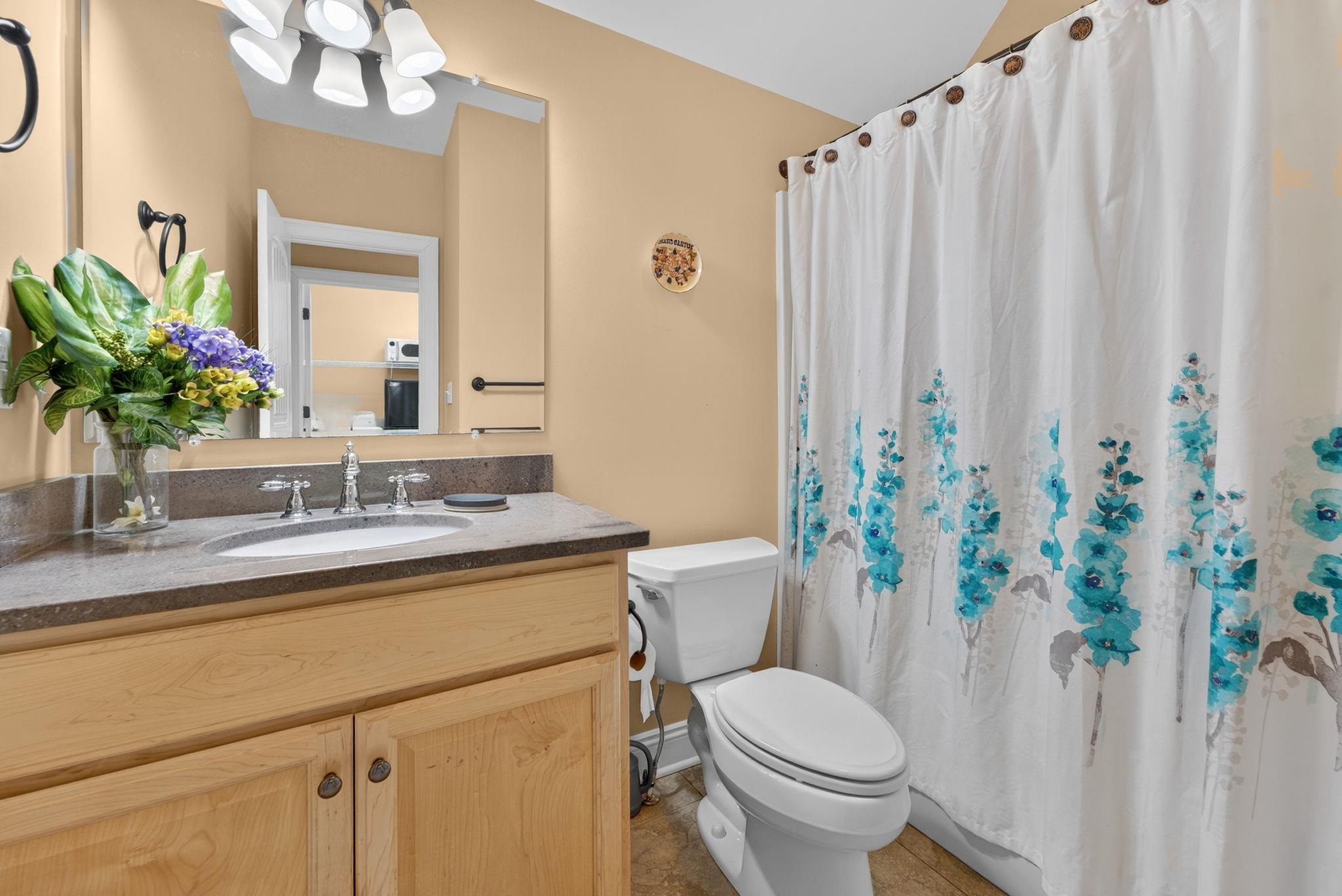 3483 Barterbrook Road Staunton, VA 24401 - Photo 59 of 75 2nd Floor Hallway Bathroom