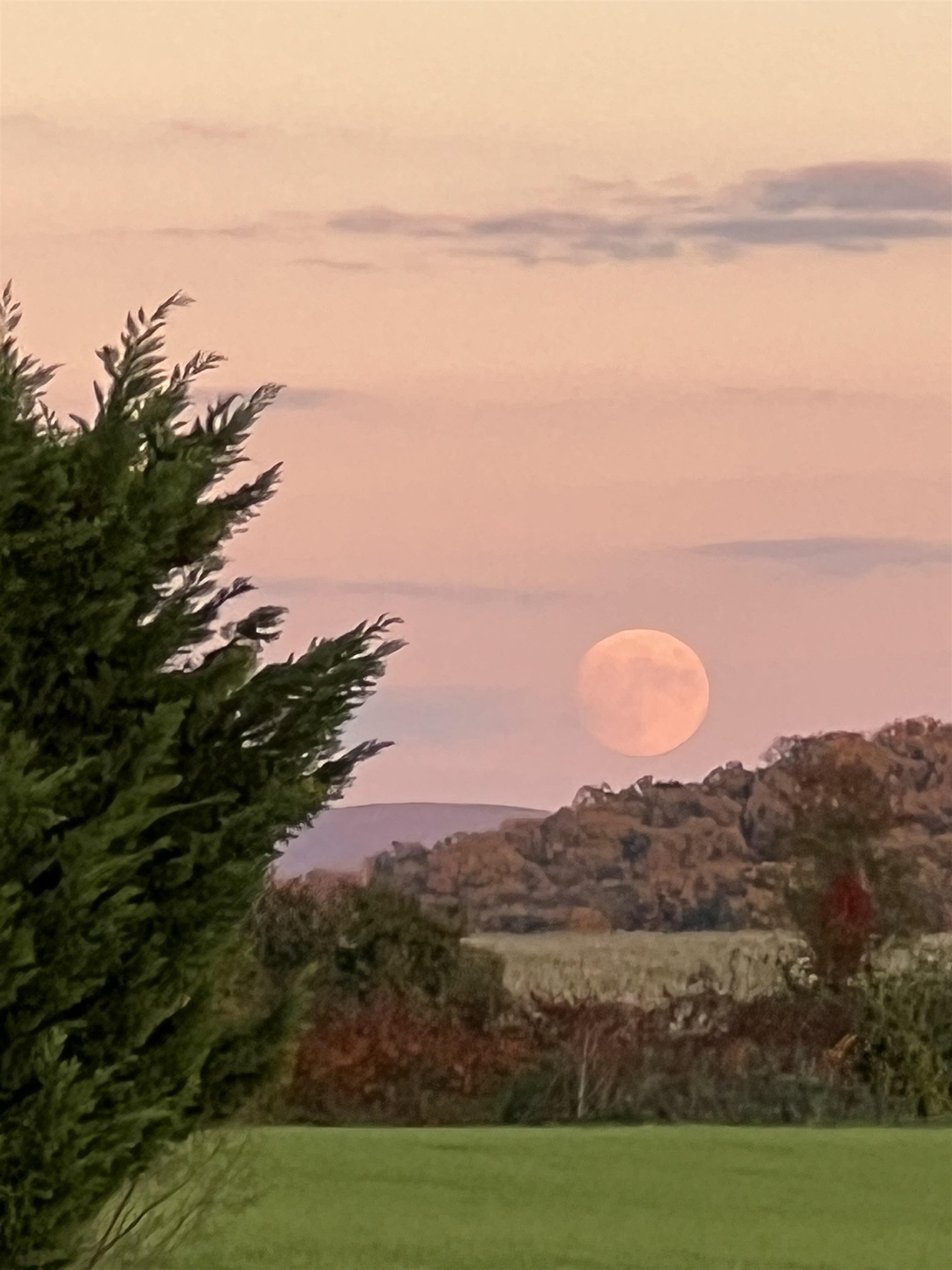 3483 Barterbrook Road Staunton, VA 24401 - Photo 72 of 75 Full Moon Treat