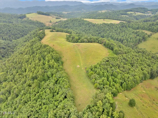 $575,000 | 431 Strong Hollow Lane, Fort Blackmore, VA 24250