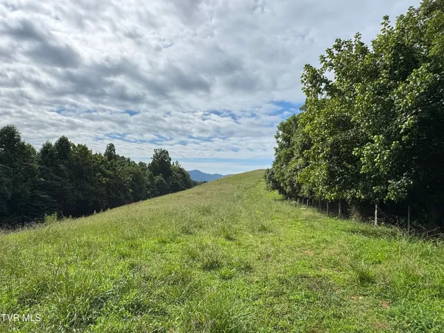 $575,000 | 431 Strong Hollow Lane, Fort Blackmore, VA 24250