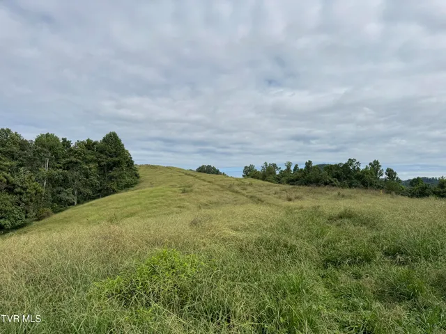 $575,000 | 431 Strong Hollow Lane, Fort Blackmore, VA 24250