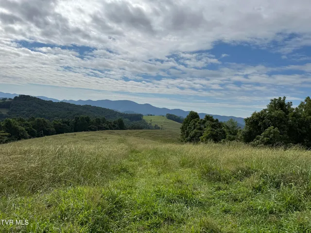 $575,000 | 431 Strong Hollow Lane, Fort Blackmore, VA 24250