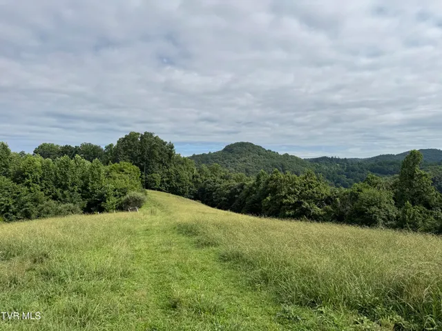 $575,000 | 431 Strong Hollow Lane, Fort Blackmore, VA 24250