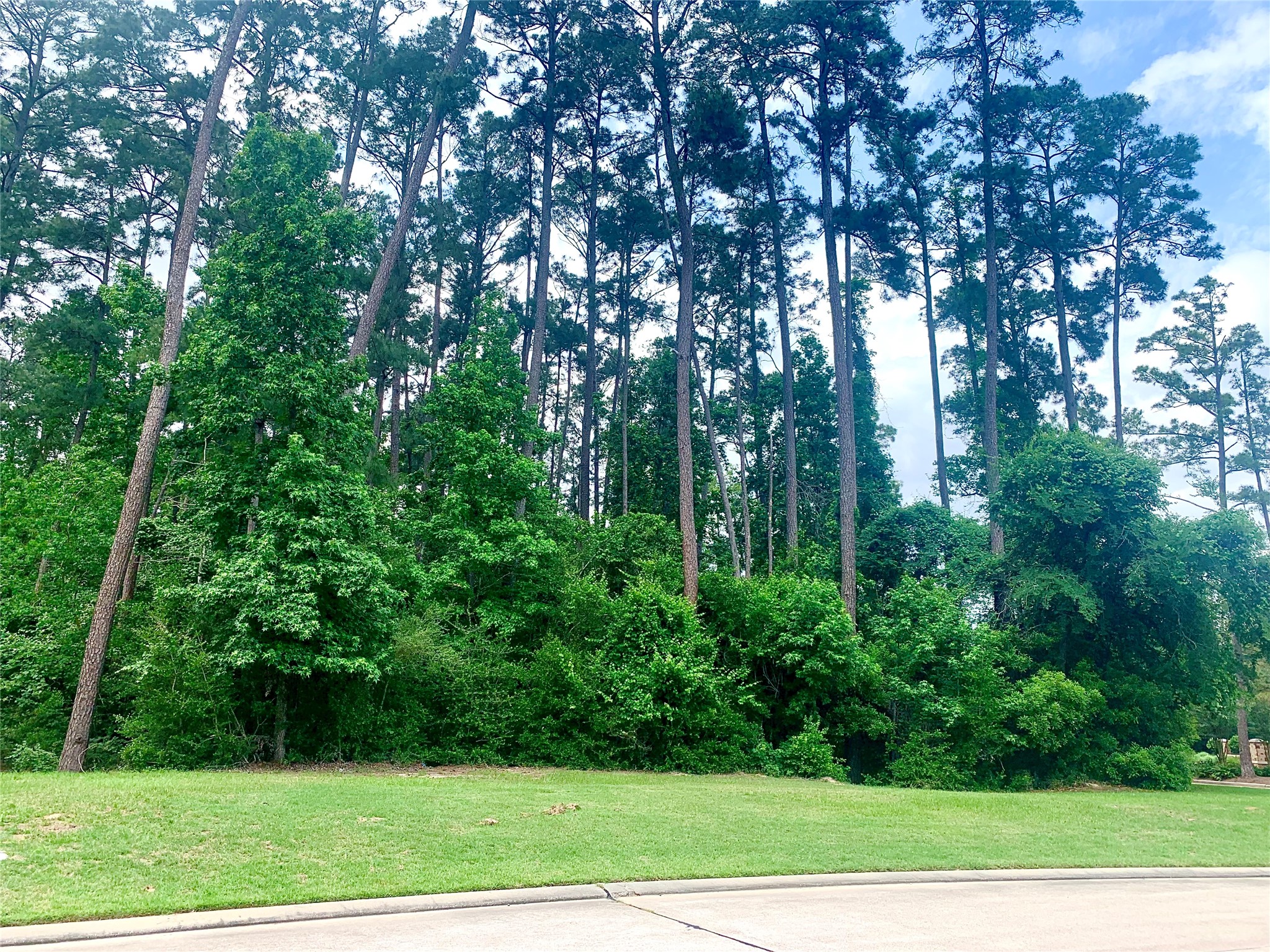 67 North Glenwild Circle Spring, TX 77389 - Photo 4 of 10 Nearly one acre corner lot
