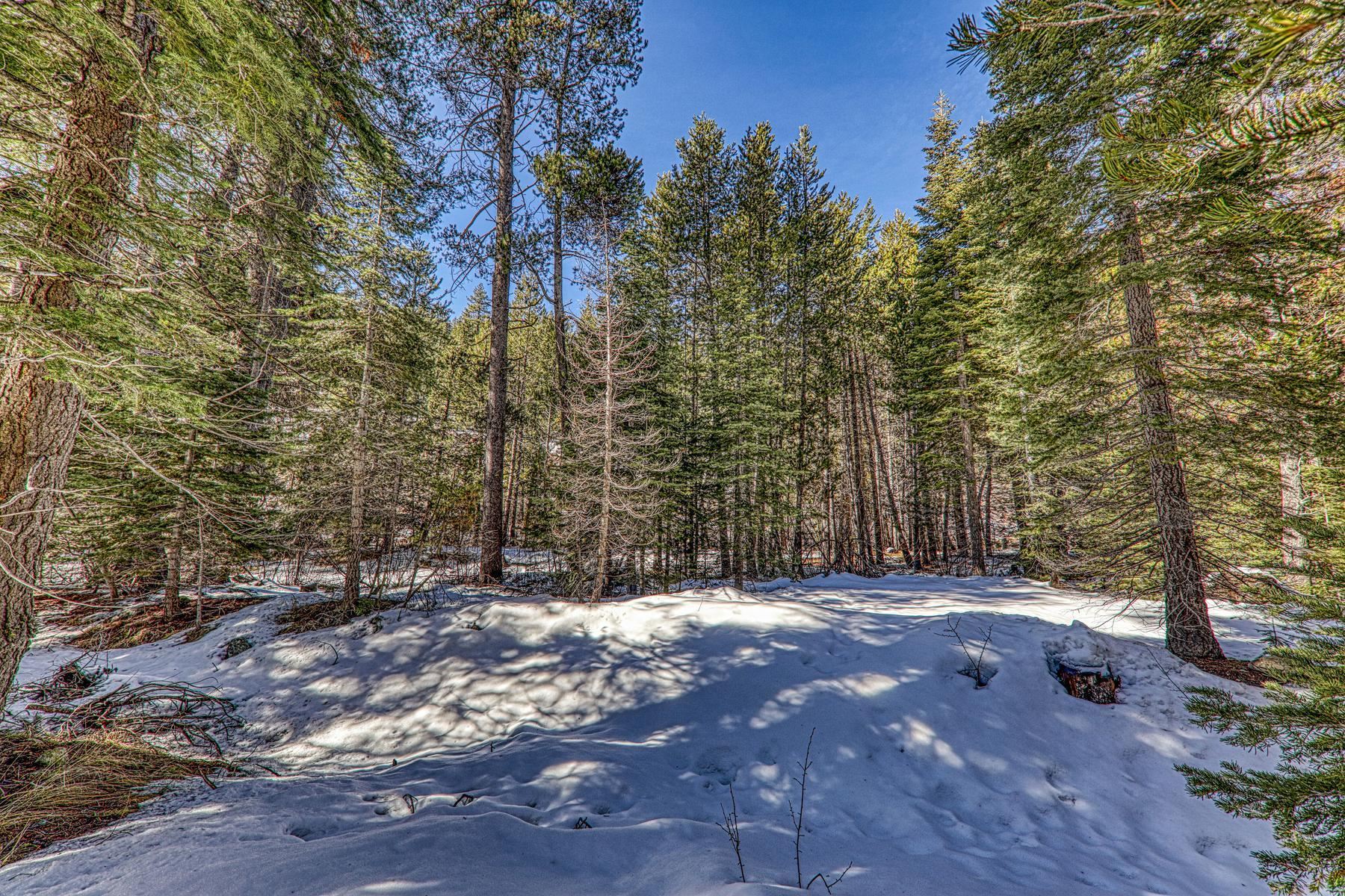 0 River Road Truckee, CA 96161 - Photo 12 of 17