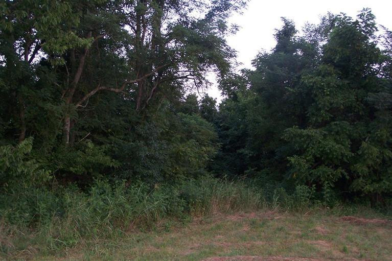 13827 Irvine Road Winchester, KY 40391 - Photo 1 of 9 Photo 1
