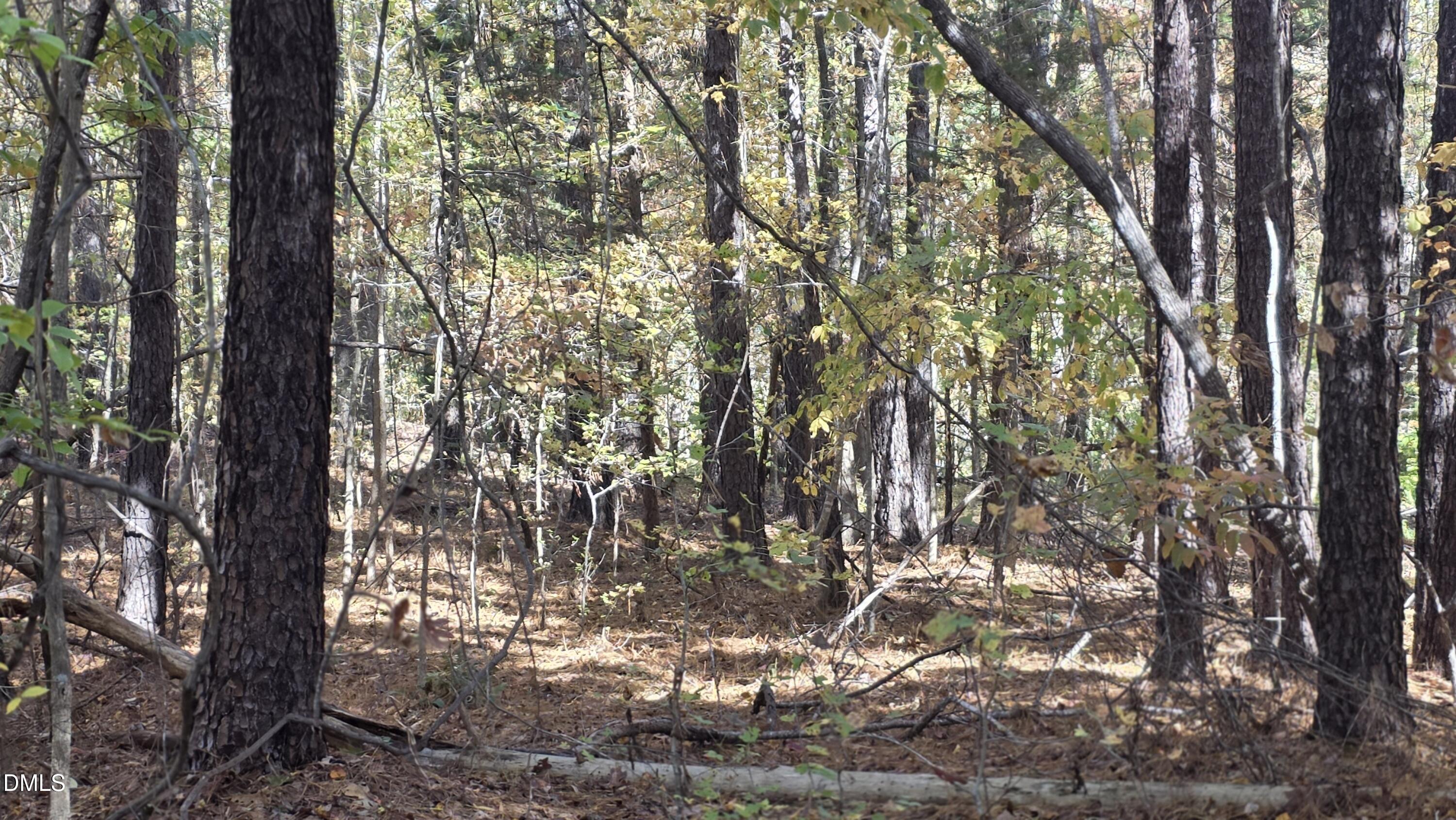 0 Krafft Corner Kittrell, NC 27544 - Photo 5 of 5 a view of tree