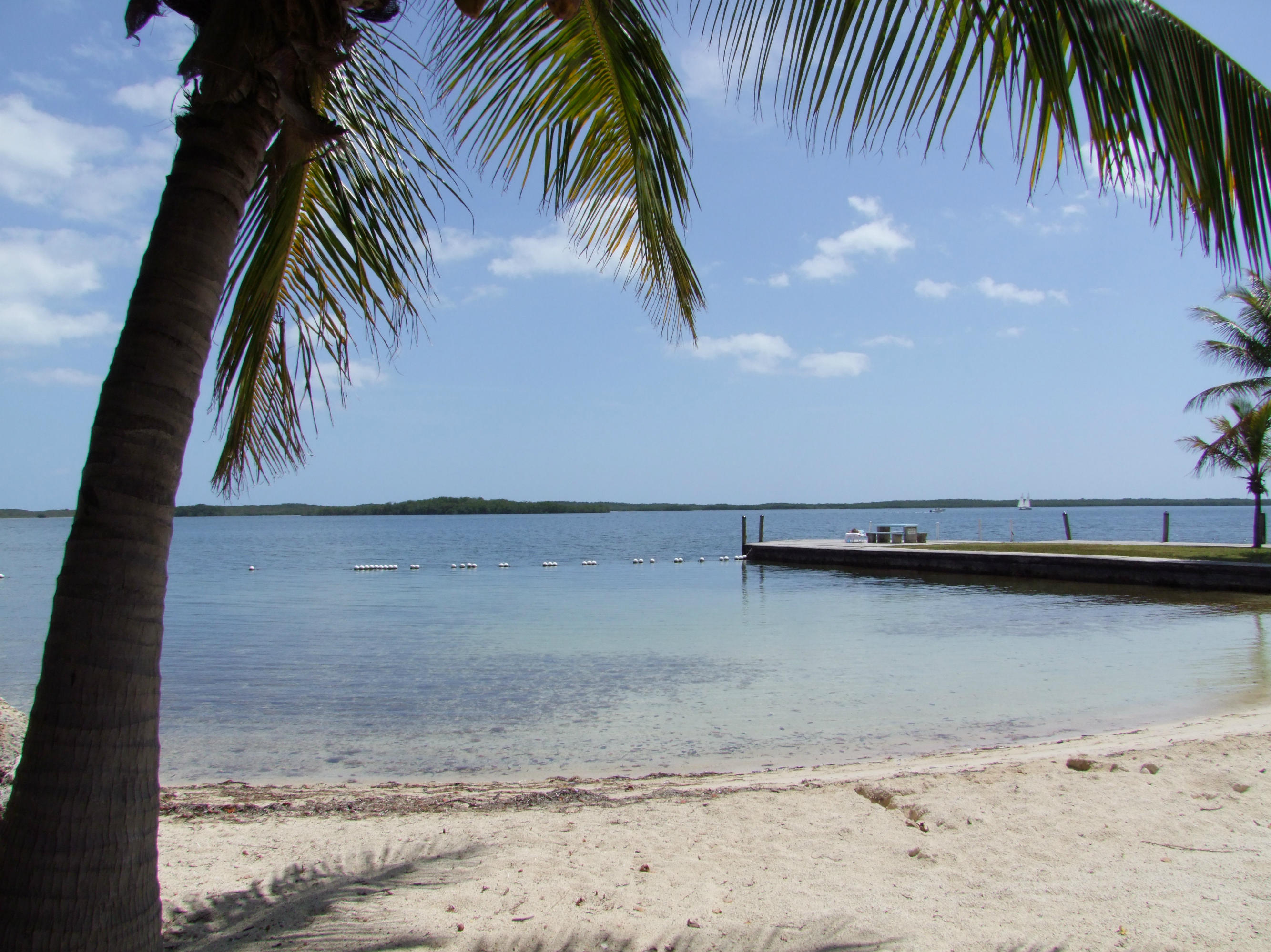 19 Bonefish Avenue Key Largo, FL 33037 - Photo 19 of 23 DSCF8301