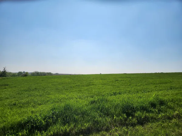 a view of yard and outdoor space