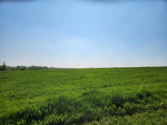 a view of yard and outdoor space