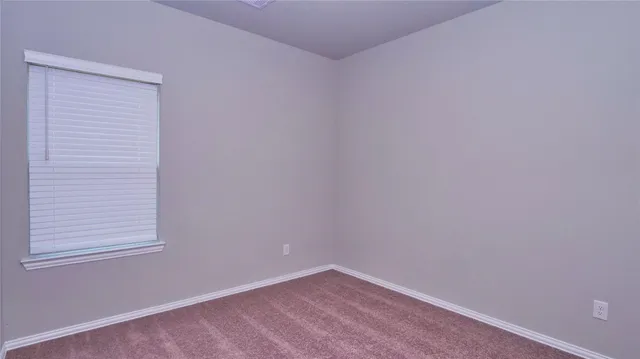 $1,900 | 31339 Spotted Saddle Hollow, Fulshear, TX 77441