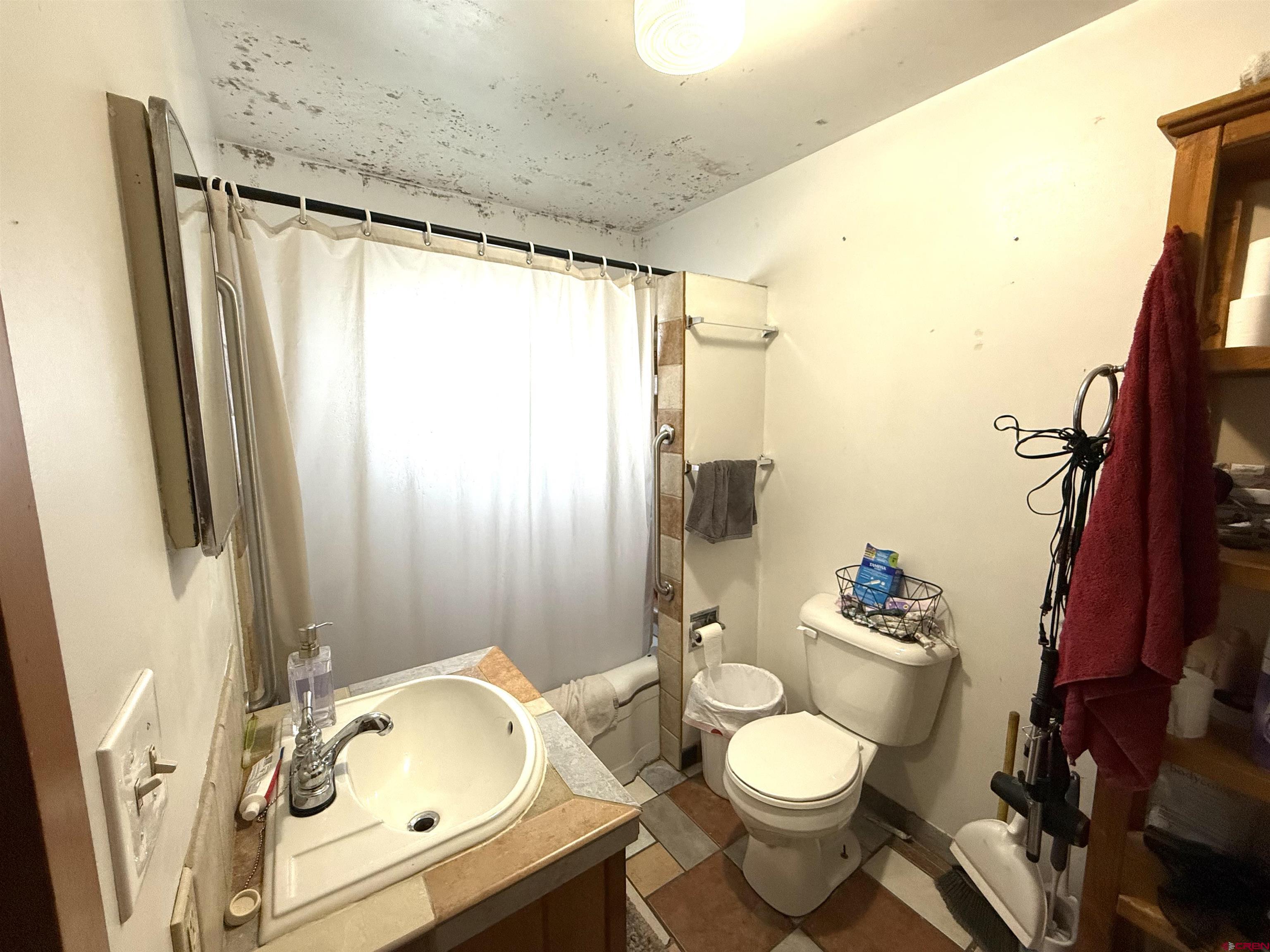 1118 East Main Street Cortez, CO 81321 - Photo 15 of 15 a bathroom with a sink toilet and shower