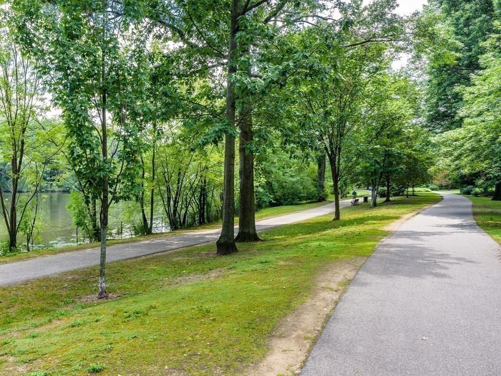 99 Pond Avenue, Unit 509 Brookline, MA 02445 - Photo 13 of 19 a view of a park with tree s