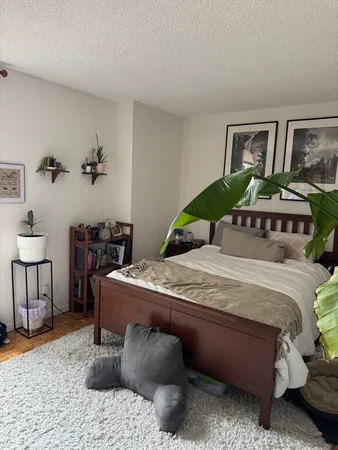 $3,000 | 99 Pond Avenue, Unit 509, Brookline, MA 02445