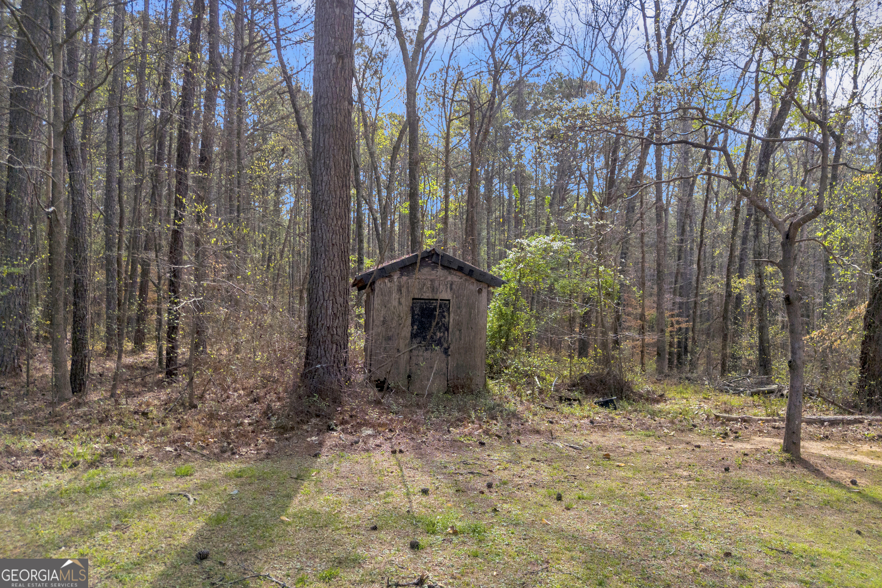 342 Brown Bridge Road Auburn, GA 30011 - Photo 17 of 41