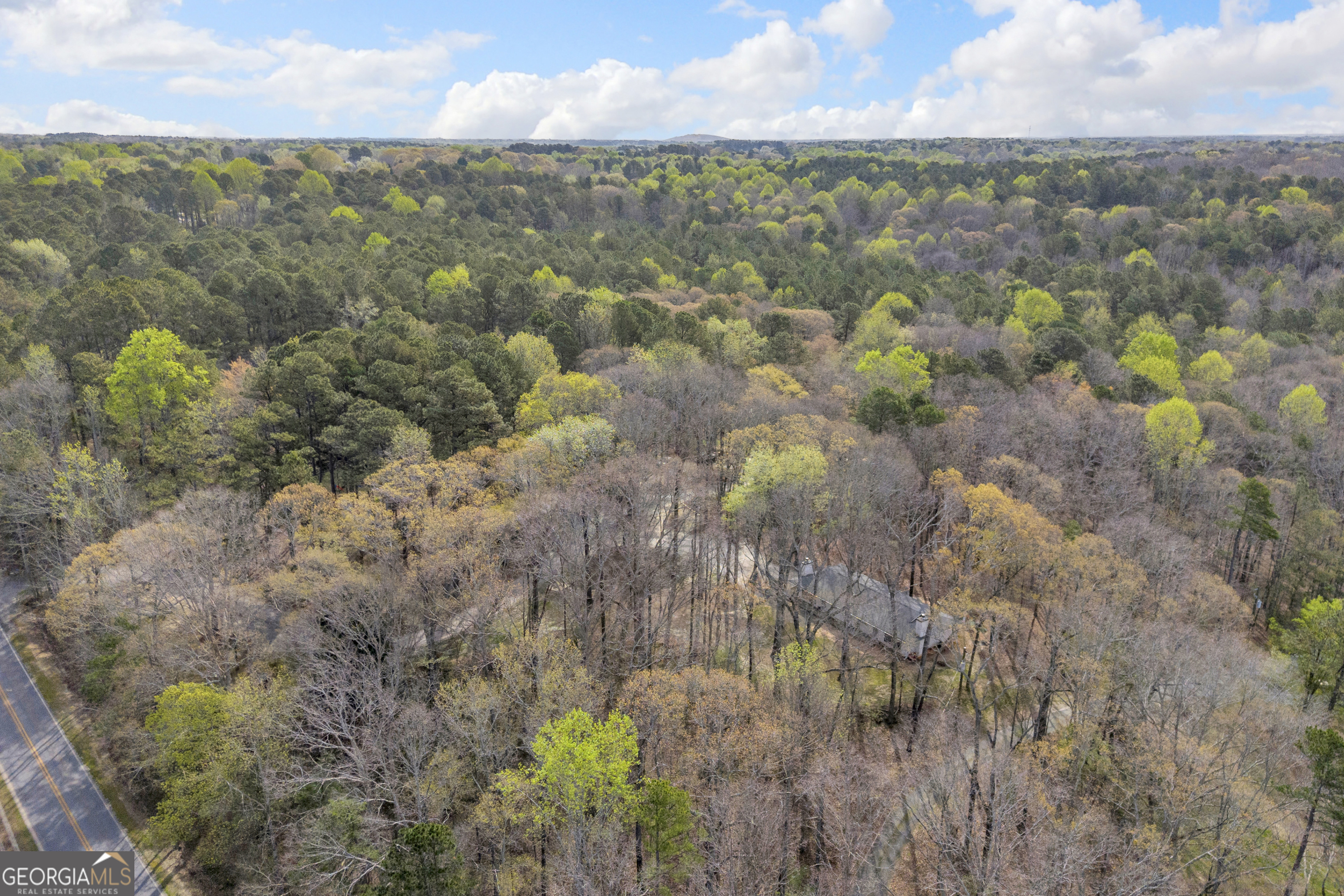 342 Brown Bridge Road Auburn, GA 30011 - Photo 9 of 41