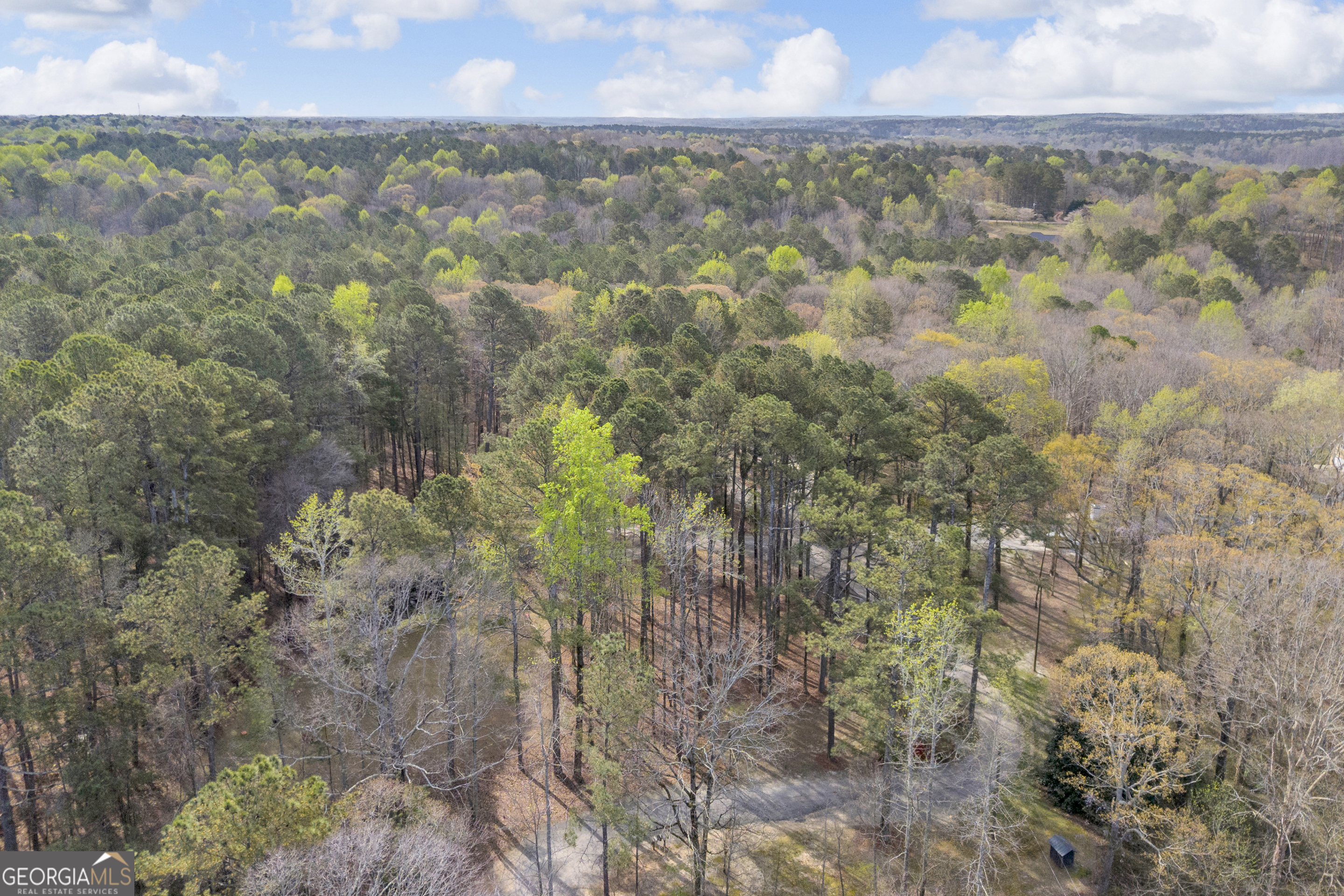 342 Brown Bridge Road Auburn, GA 30011 - Photo 10 of 41