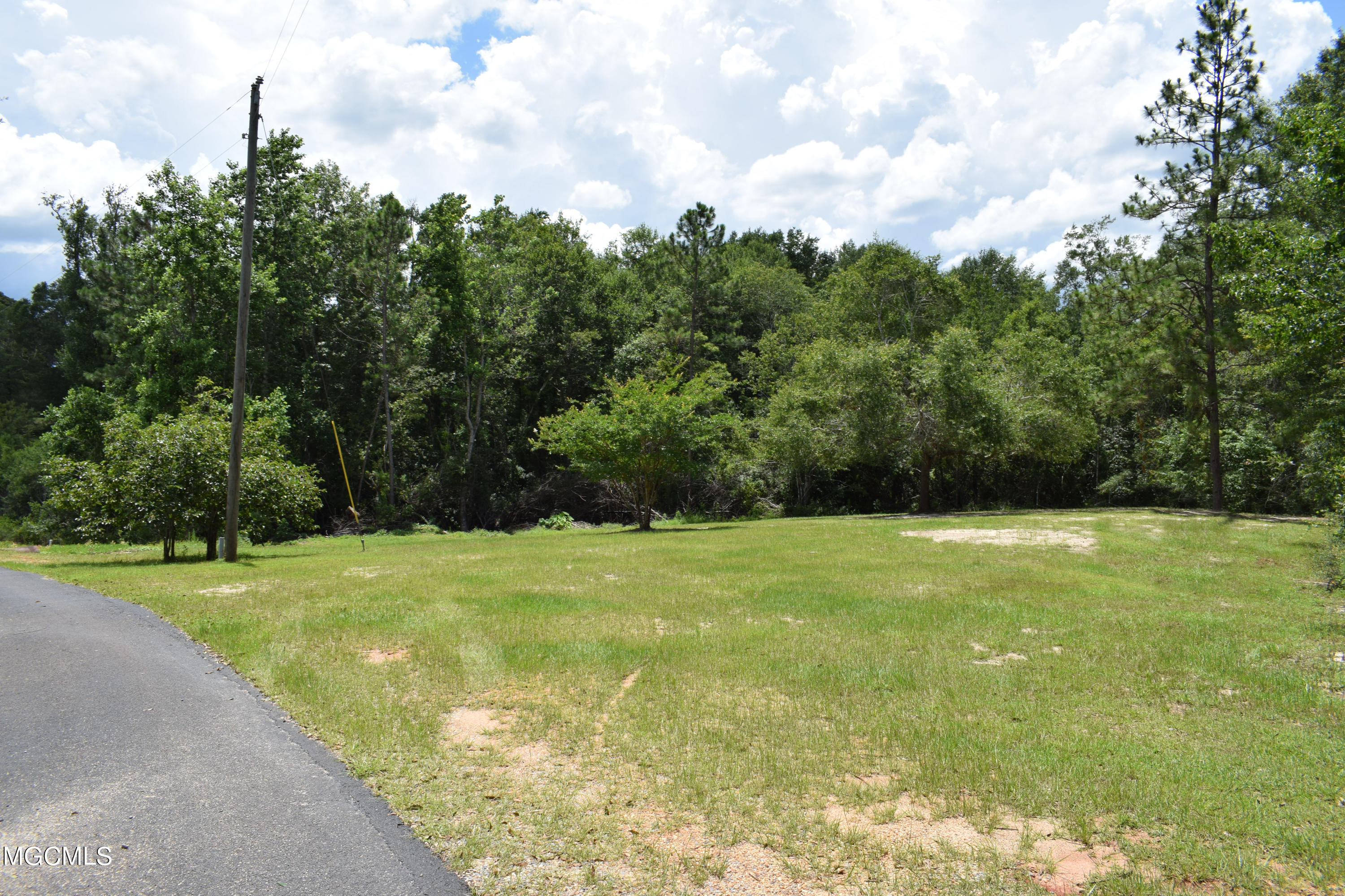 1-acre Timberidge Road Lucedale, MS 39452 - Photo 1 of 9 DSC_0121