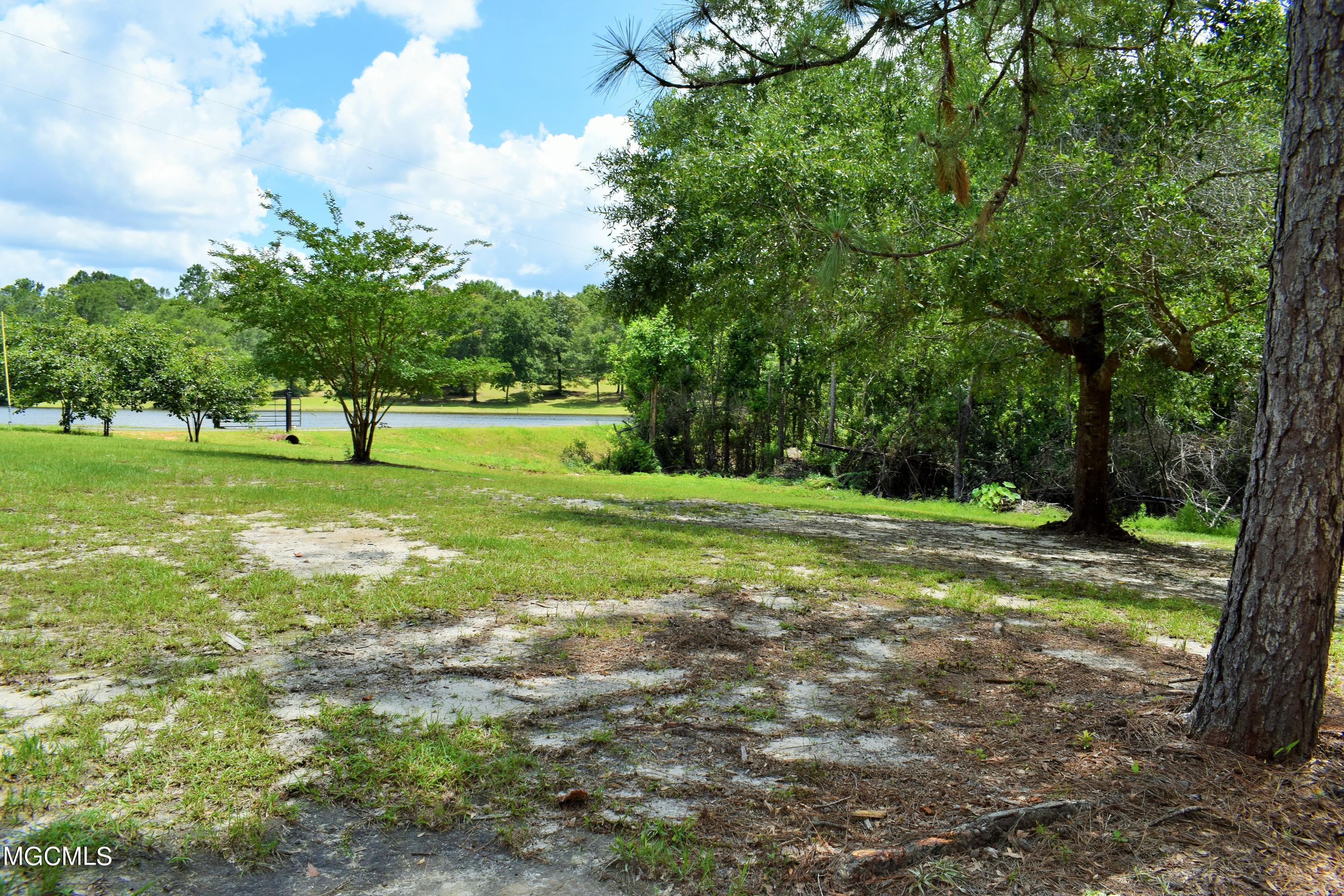 1-acre Timberidge Road Lucedale, MS 39452 - Photo 4 of 9 DSC_0127