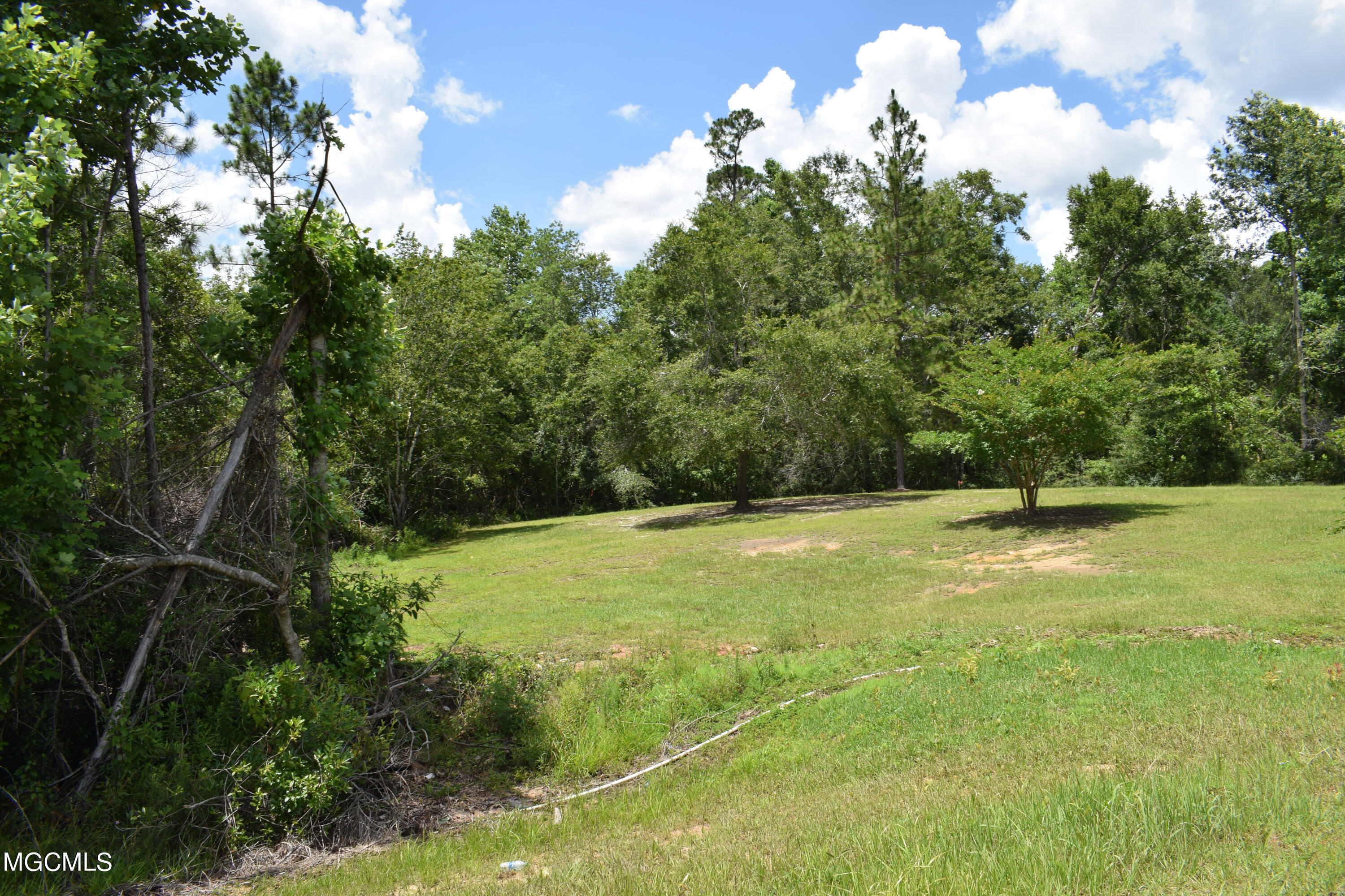 1-acre Timberidge Road Lucedale, MS 39452 - Photo 5 of 9 DSC_0124