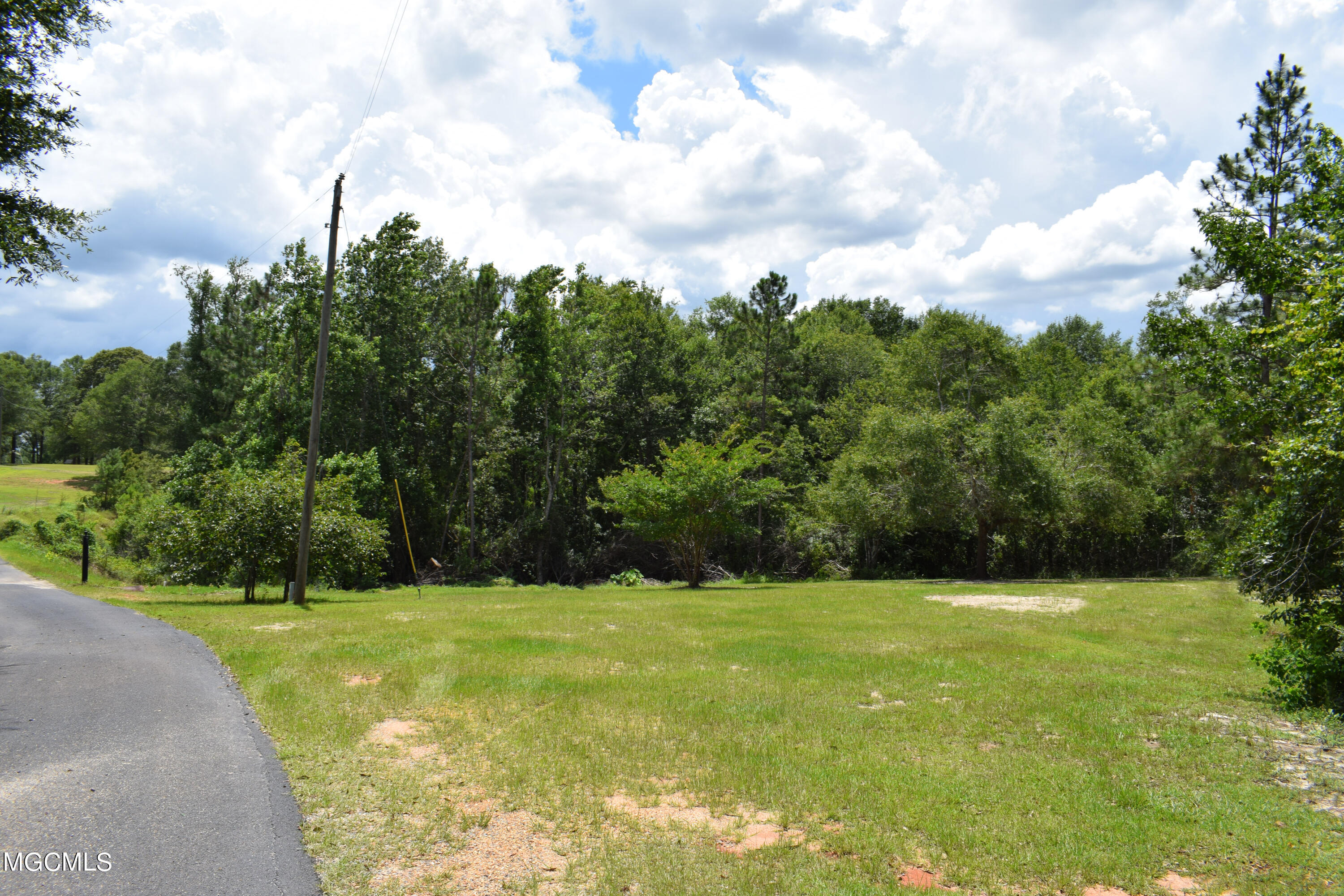1-acre Timberidge Road Lucedale, MS 39452 - Photo 9 of 9 DSC_0129
