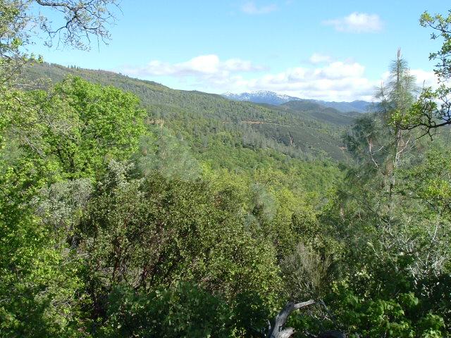 Lot 19 Ditch Grade Road Igo, CA 96047 - Photo 1 of 1 Amazing Views