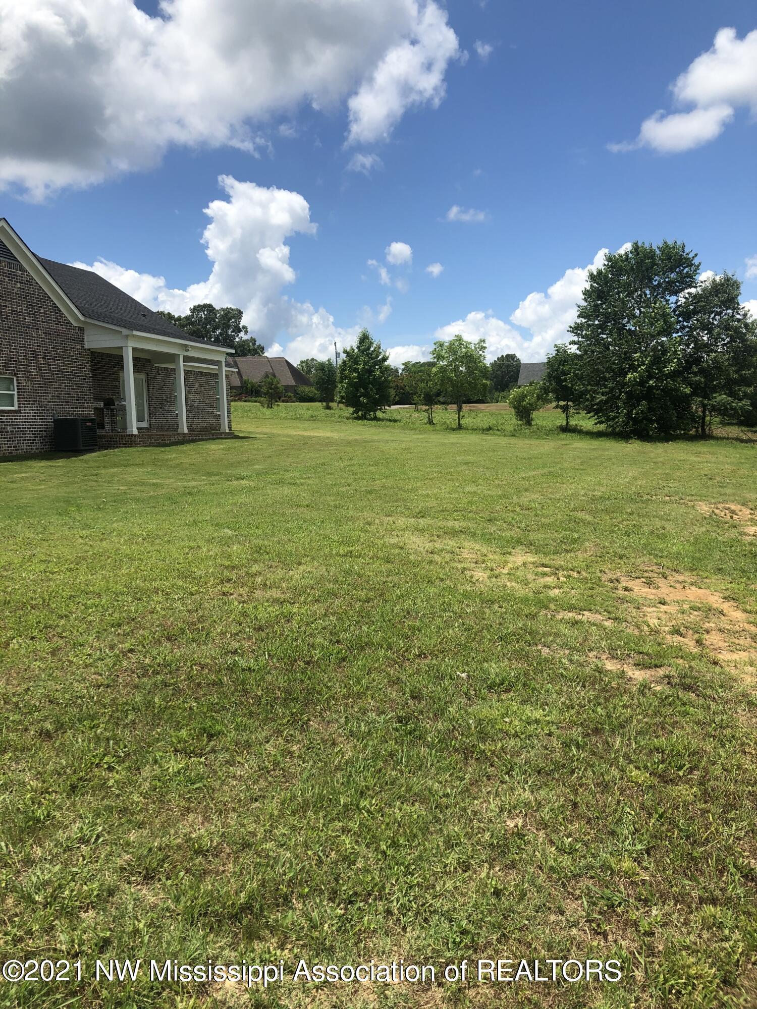103 Ridgewood Cove Coldwater, MS 38618 - Photo 12 of 56 Back Yard