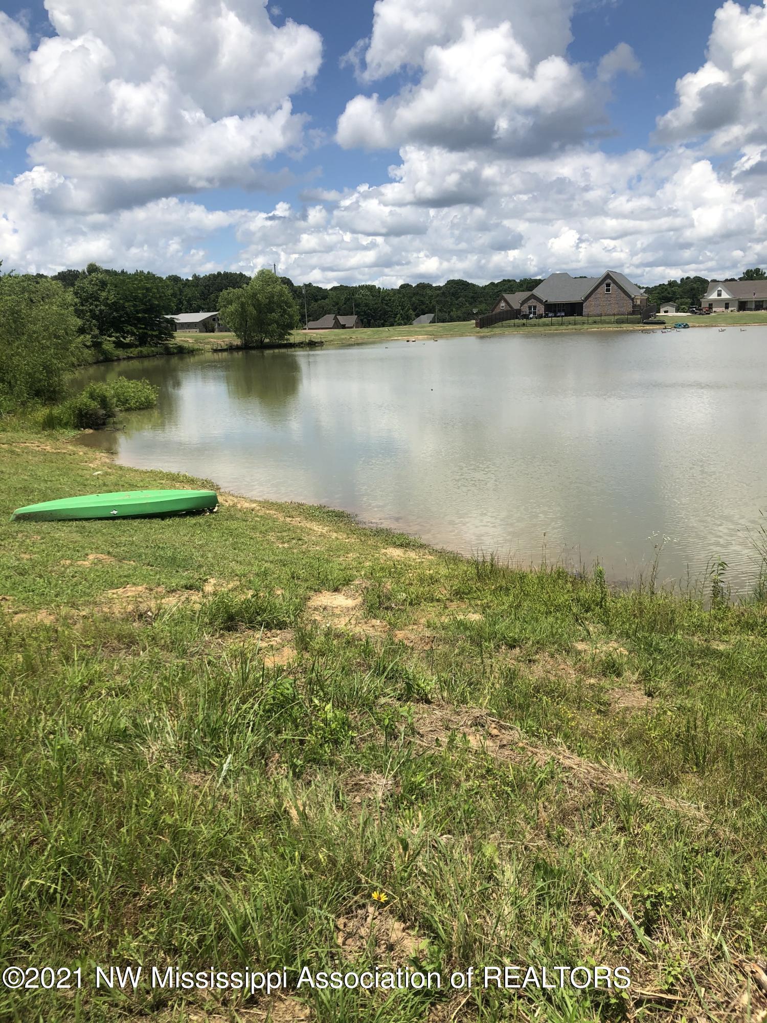 103 Ridgewood Cove Coldwater, MS 38618 - Photo 13 of 56 back yard view