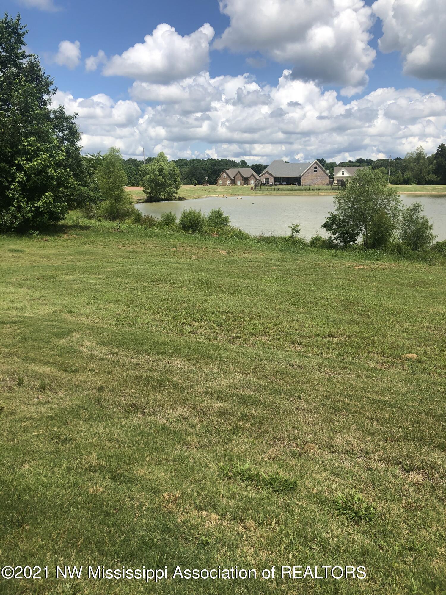 103 Ridgewood Cove Coldwater, MS 38618 - Photo 14 of 56 back yard view