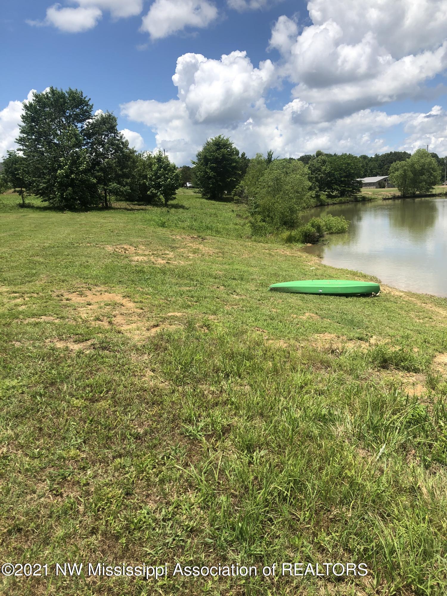 103 Ridgewood Cove Coldwater, MS 38618 - Photo 15 of 56 Left Side back yard