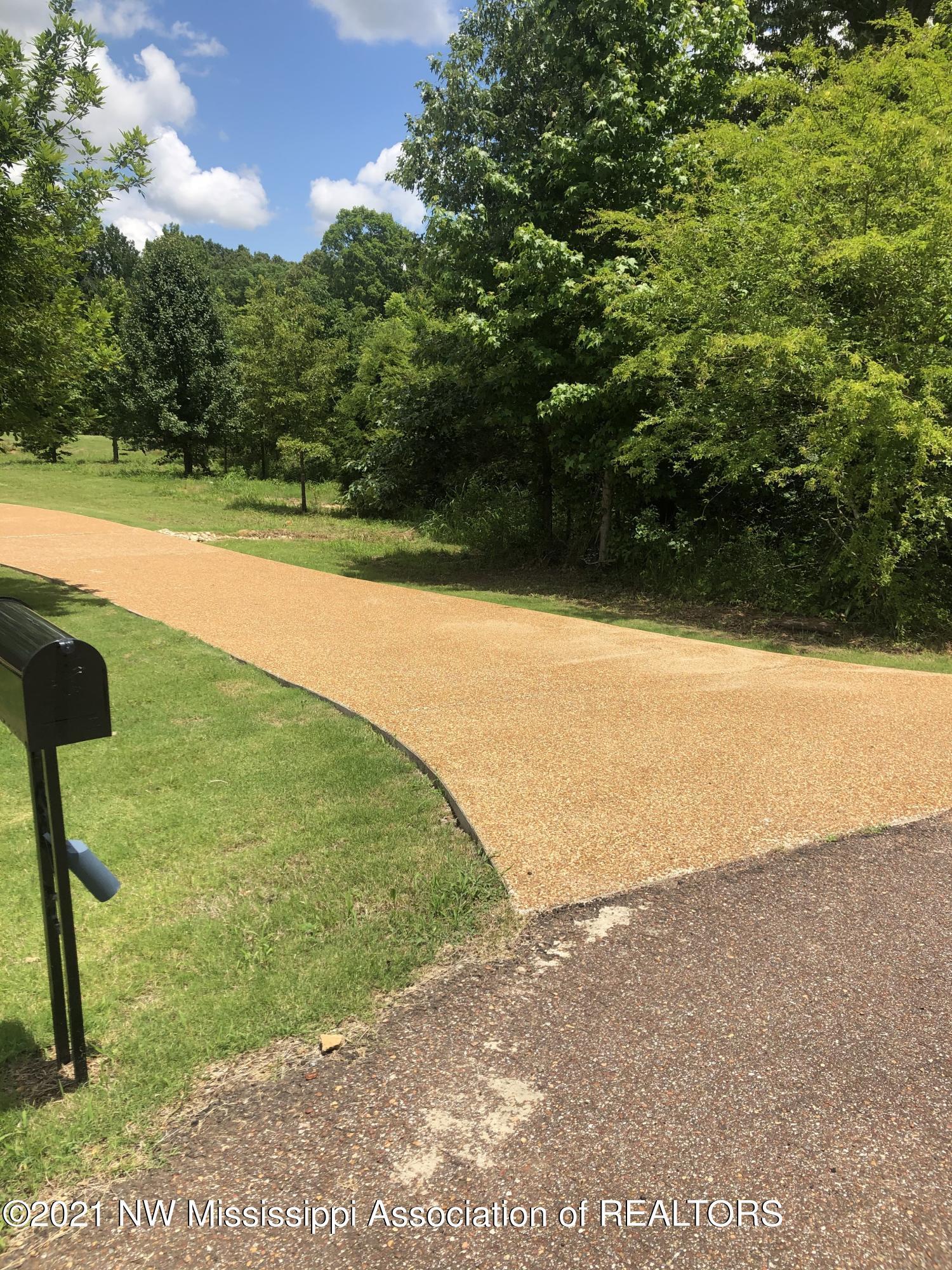 103 Ridgewood Cove Coldwater, MS 38618 - Photo 51 of 56 Driveway entry