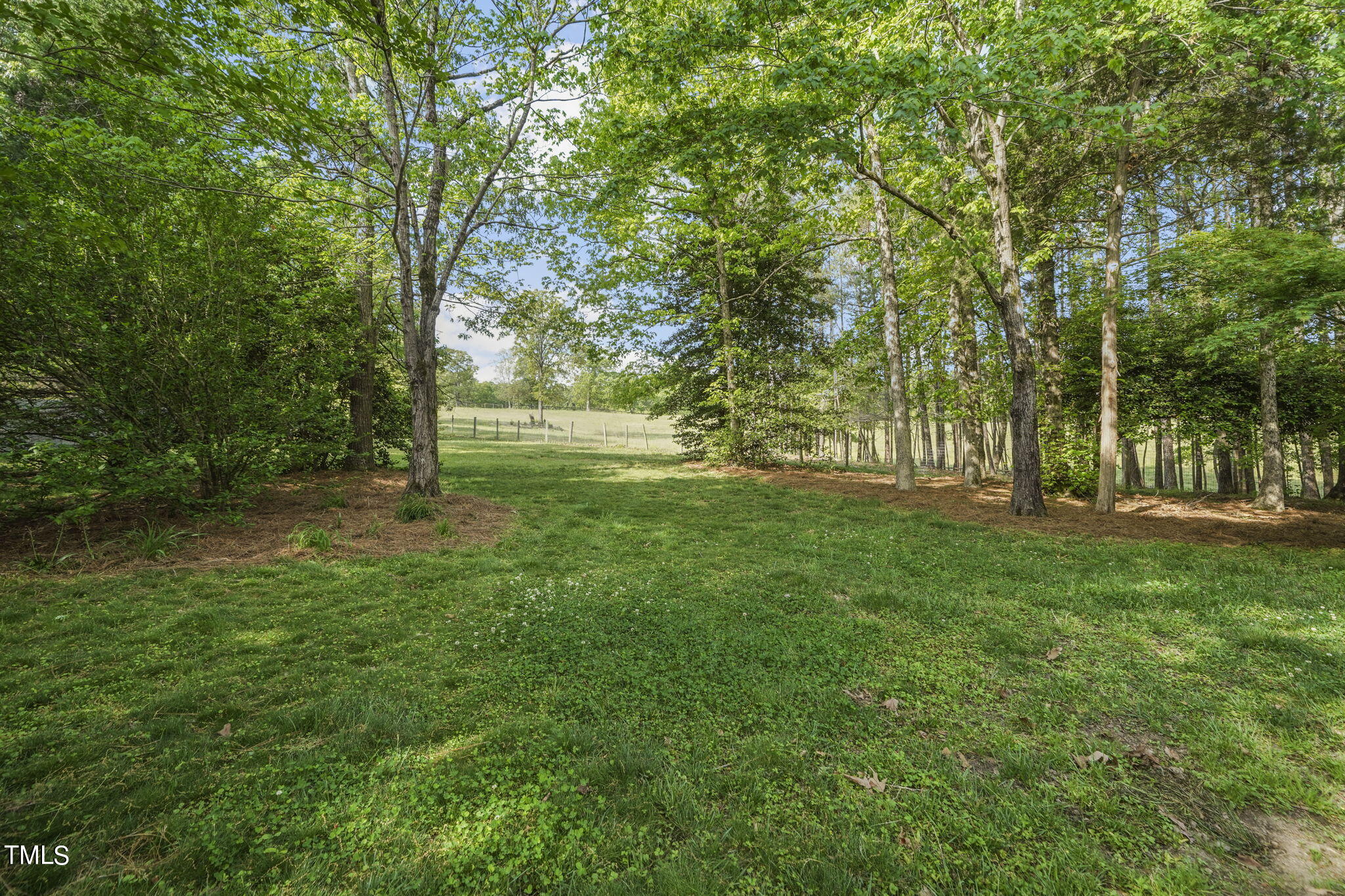 2629 Lizei Street Raleigh, NC 27616 - Photo 50 of 59 Rear Yard 3