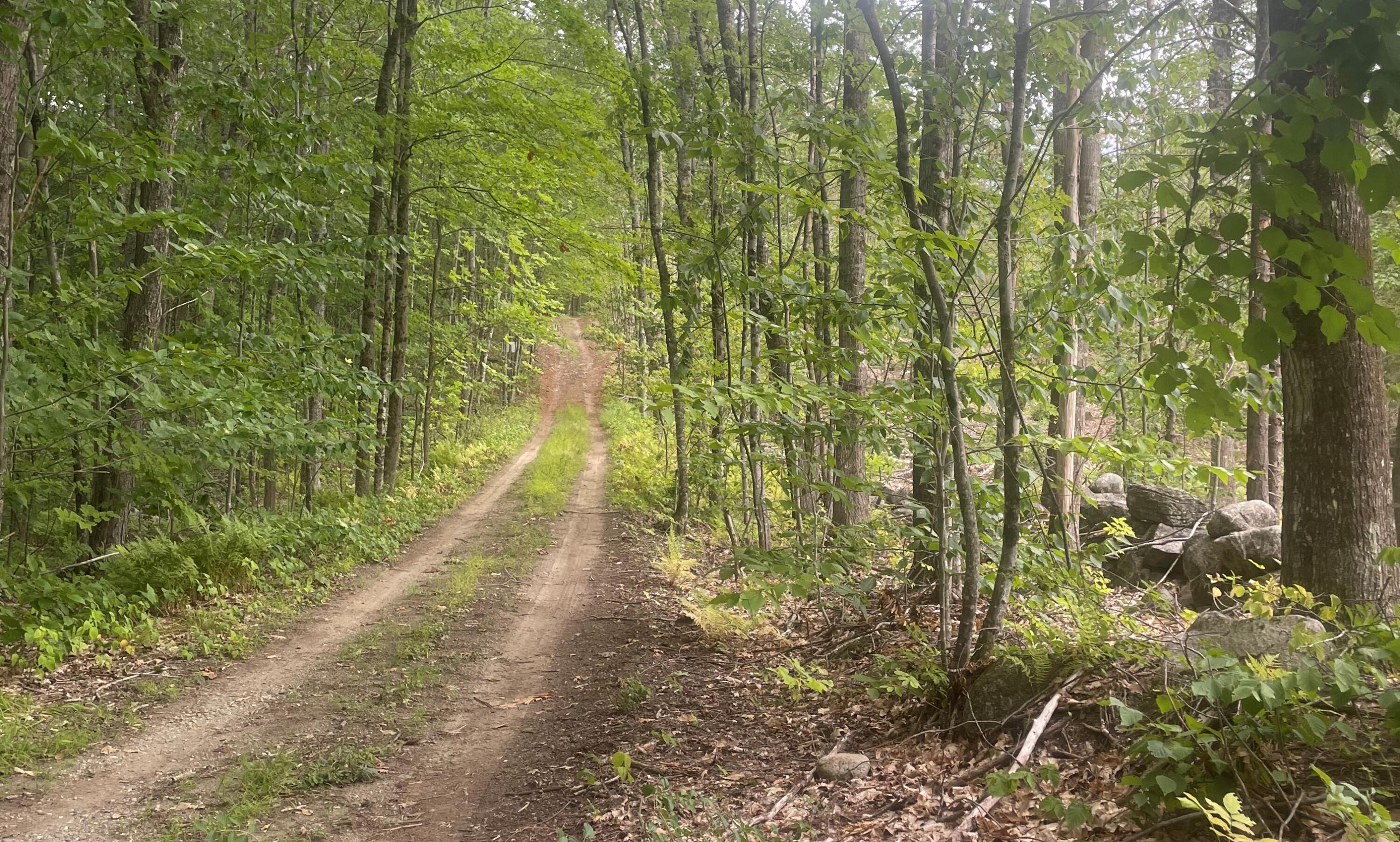 0 Pisgah Road Winthrop, ME 04364 - Photo 1 of 6 1