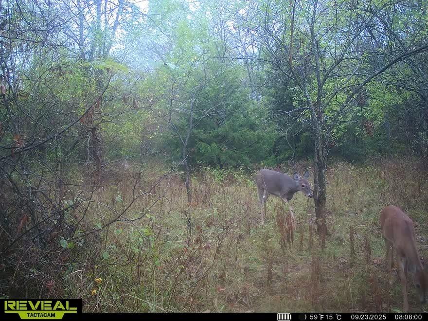 2244 Shaw School Road Odessa, MO 64076 - Photo 69 of 75