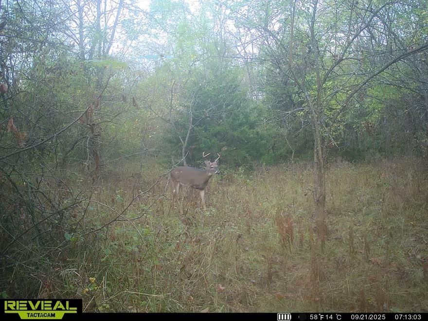 2244 Shaw School Road Odessa, MO 64076 - Photo 75 of 75