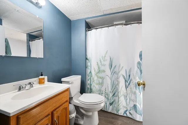 a bathroom with a sink a toilet and shower curtain
