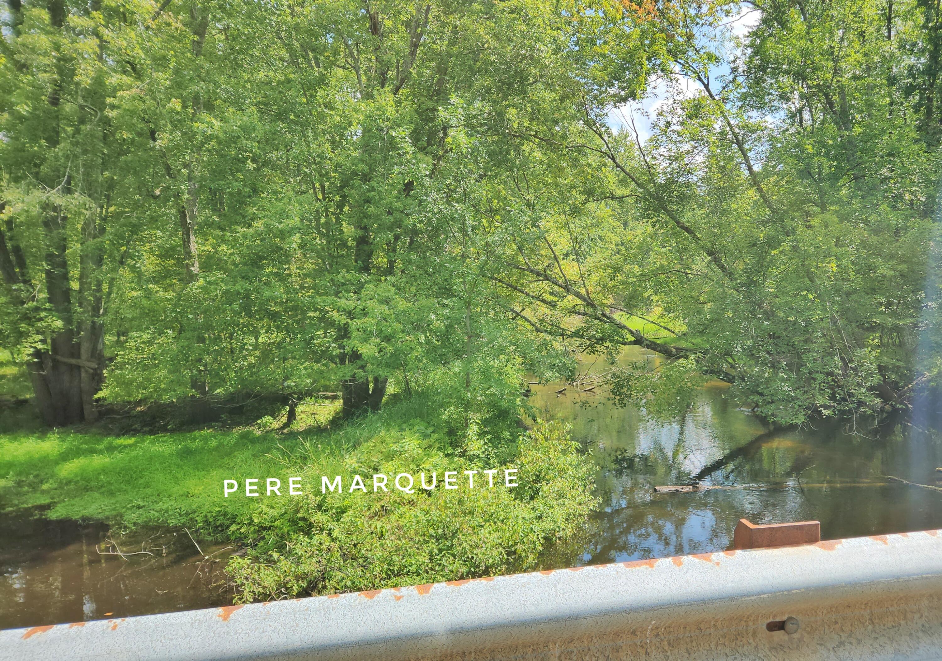 9557 East Anthony Road Branch, MI 49402 - Photo 81 of 98 1000032125