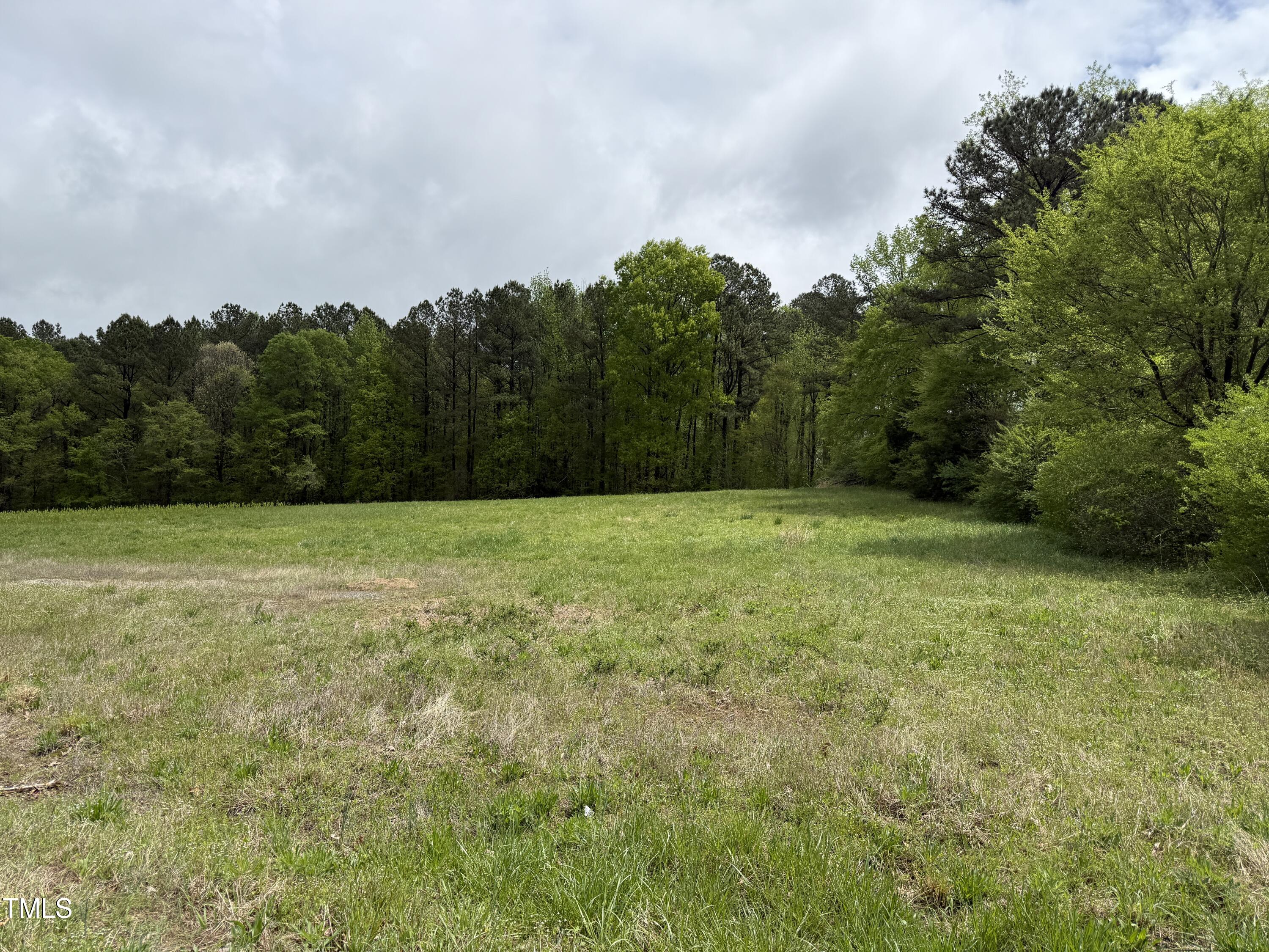 0 Stallings Mill Road Spring Hope, NC 27882 - Photo 2 of 15 02